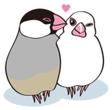 Chubby the Java Sparrow sticker #6285353