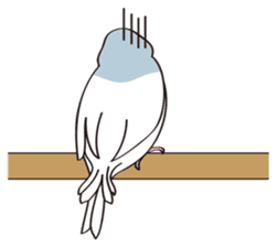 Chubby the Java Sparrow sticker #6285354