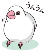 Chubby the Java Sparrow sticker #6285355