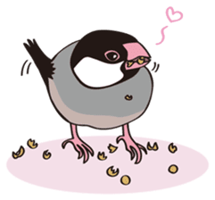 Chubby the Java Sparrow sticker #6285358