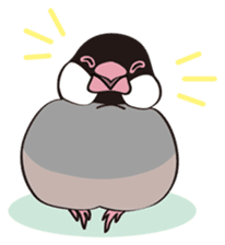 Chubby the Java Sparrow sticker #6285361