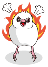 Chubby the Java Sparrow sticker #6285362