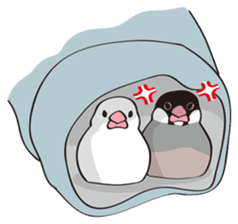 Chubby the Java Sparrow sticker #6285367