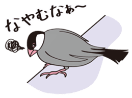 Chubby the Java Sparrow sticker #6285370