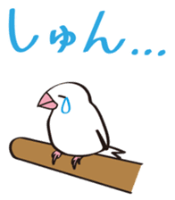 Chubby the Java Sparrow sticker #6285374
