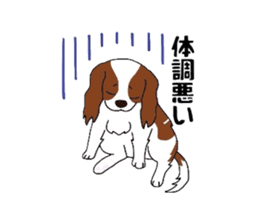 Sticker of KURUMI. sticker #6288700
