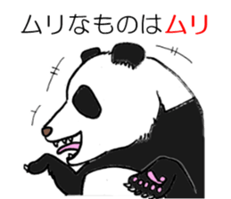Tell the truth panda sticker #6288739