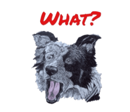 Oh My DOG!! sticker #6290034