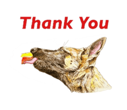 Oh My DOG!! sticker #6290039