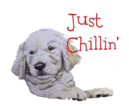 Oh My DOG!! sticker #6290055