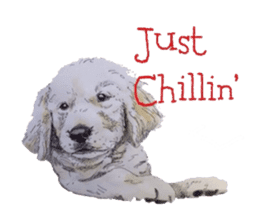 Oh My DOG!! sticker #6290055