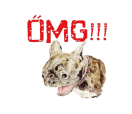Oh My DOG!! sticker #6290062