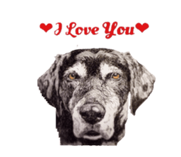 Oh My DOG!! sticker #6290063