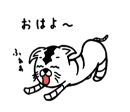 White Tiger's sticker #6292969