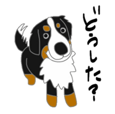 40 kinds of dogs sticker #6293168