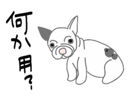 40 kinds of dogs sticker #6293170