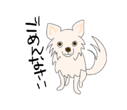 40 kinds of dogs sticker #6293172