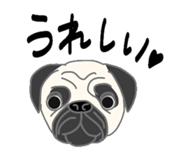 40 kinds of dogs sticker #6293173