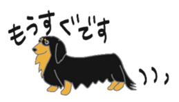 40 kinds of dogs sticker #6293175