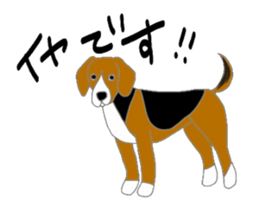 40 kinds of dogs sticker #6293177