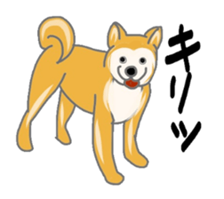 40 kinds of dogs sticker #6293180
