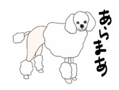 40 kinds of dogs sticker #6293184