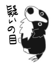 40 kinds of dogs sticker #6293185