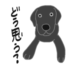 40 kinds of dogs sticker #6293190