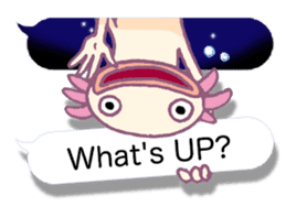 UPAZO the axlotol - mild life sticker #6293368
