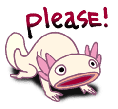 UPAZO the axlotol - mild life sticker #6293389