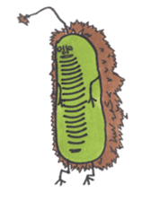 Mr,Euglena Ver5 parents version sticker #6294408