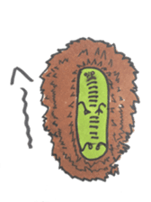Mr,Euglena Ver5 parents version sticker #6294410