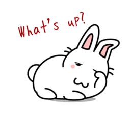 white rabbit "Usausa" sticker #6295359