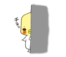 Cockateel. sticker #6297246