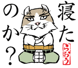 A word from the cat's sticker #6298099