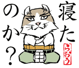 A word from the cat's sticker #6298099