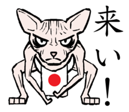 A word from the cat's sticker #6298123