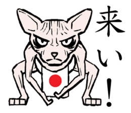 A word from the cat's sticker #6298123