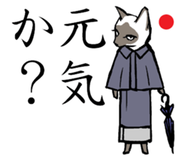 A word from the cat's sticker #6298124