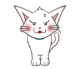 Meany cat Cass for English sticker #6298152