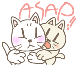 Cat / Chat 2 English ver. sticker #6298398