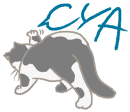 Cat / Chat 2 English ver. sticker #6298400