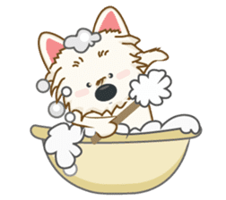 Wetbeard, the Wacky Wicked Westie! V2 sticker #6298766