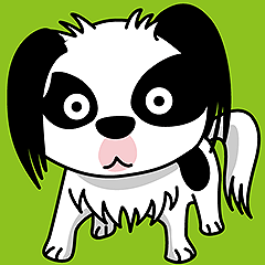 Japanese Spaniel (letterless version)