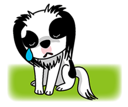 Japanese Spaniel (letterless version) sticker #6300684