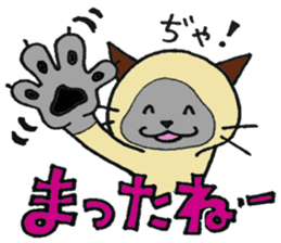 Siamese cat mix MARU sticker #6300707