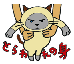 Siamese cat mix MARU sticker #6300736