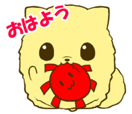 Pomeranian tan 3 sticker #6303840