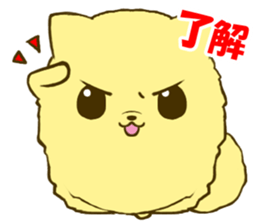 Pomeranian tan 3 sticker #6303853