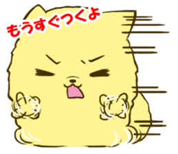 Pomeranian tan 3 sticker #6303861